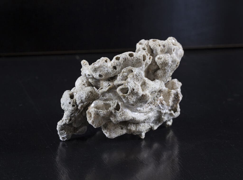 Elise-Bishop_Coral-White_08-1024×758